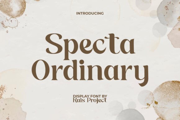 Specta Ordinary Font: A Designer’s Real Branding Project Story